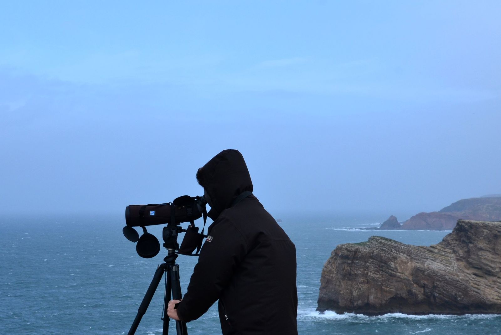 Observador a fazer contagem de aves marinhas a partir de terra para o mar, através de um telescópio. Ao fundo nota-se as falésias íngremes e o mar.