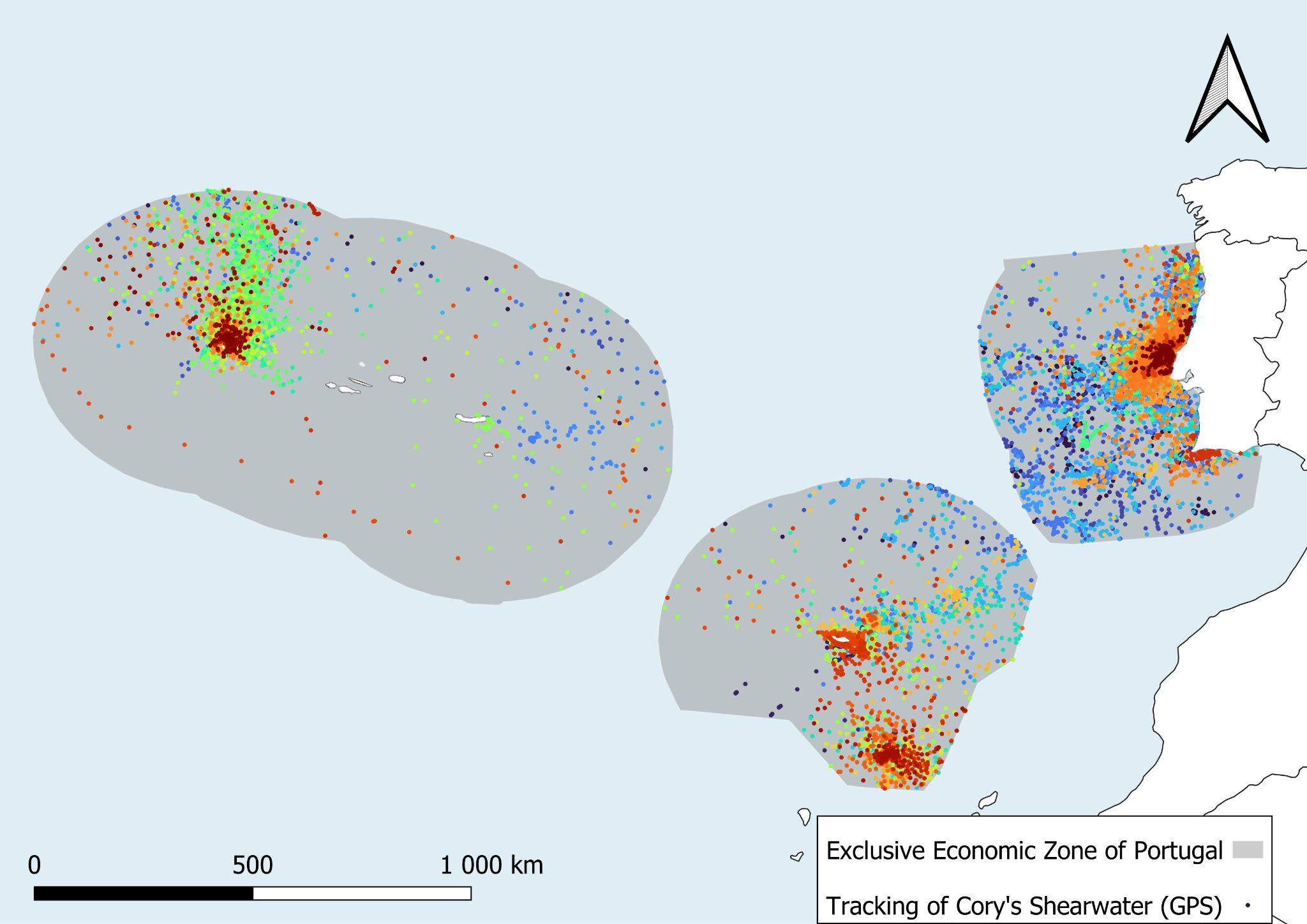 Example of the distribution of raw data showing the locations of Cory’s Shearwater recorded via GPS devices, for Portugal’s EEZ. Each individual has been assigned a different colour.